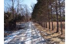 Property photo 24 - 97.5 Acres - Executive Home and Secluded Retreat